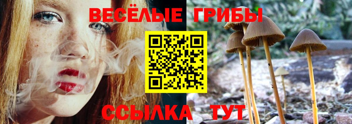 Галлюциногенные грибы GOLDEN TEACHER Барнаул