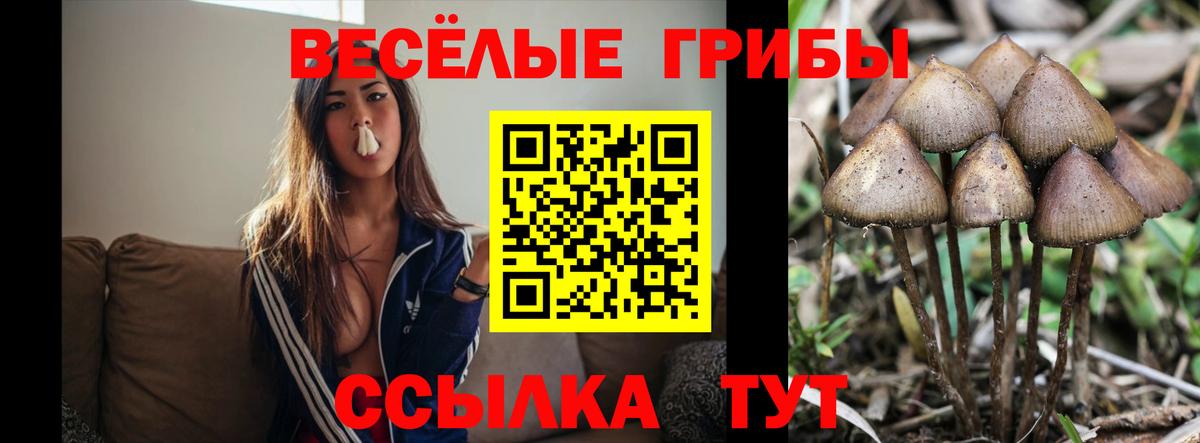Барнаул  Галлюциногенные грибы мухоморы  Вход с VPN 